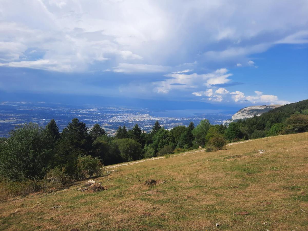 The Originals City, Hotel Rey Du Mont Sion, Saint-Julien-En-Genevois Sud Zewnętrze zdjęcie