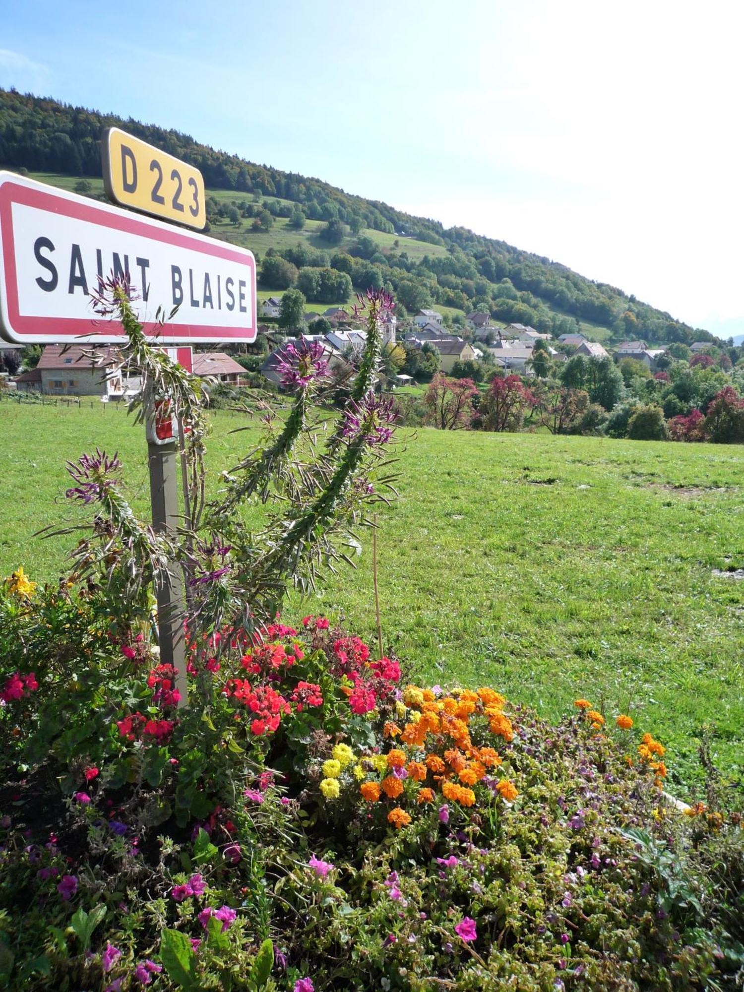 The Originals City, Hotel Rey Du Mont Sion, Saint-Julien-En-Genevois Sud Zewnętrze zdjęcie