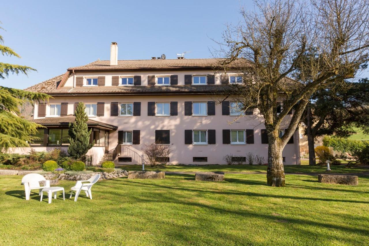 The Originals City, Hotel Rey Du Mont Sion, Saint-Julien-En-Genevois Sud Zewnętrze zdjęcie