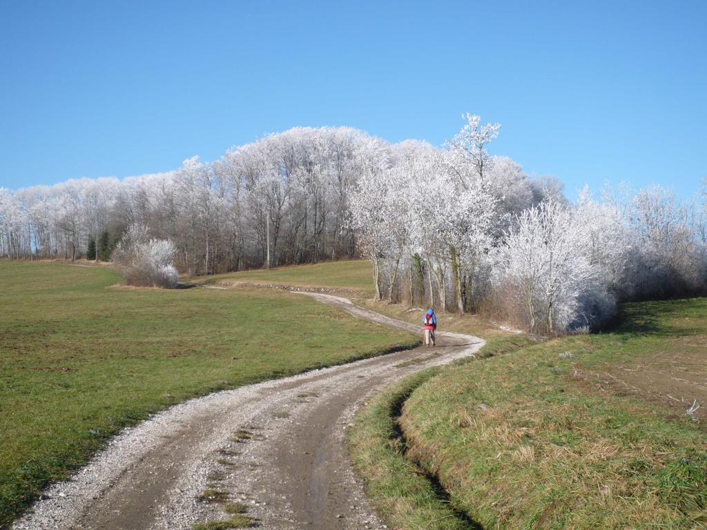 The Originals City, Hotel Rey Du Mont Sion, Saint-Julien-En-Genevois Sud Zewnętrze zdjęcie